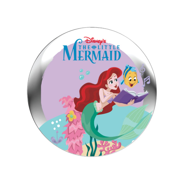 Disney Princess StoryShield