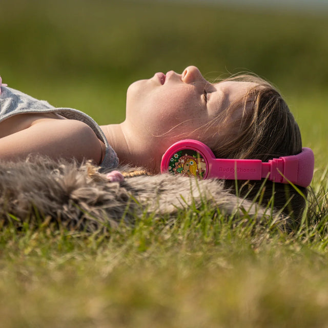 Noise Cancellation Headphones