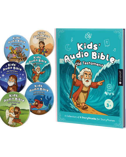 Bible Old Testament StoryBook