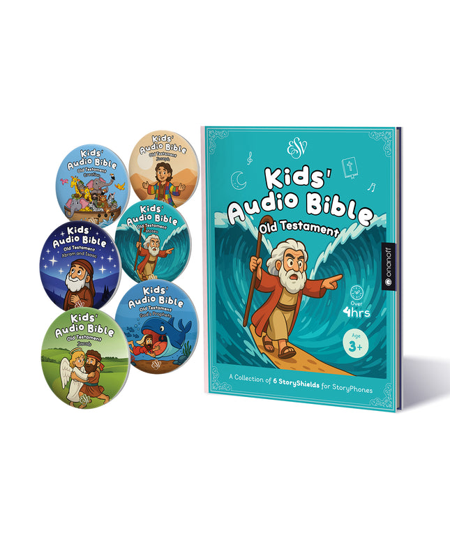 Bible Old Testament StoryBook