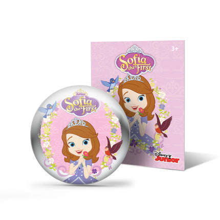 Disney Junior Sofia the First StoryShield