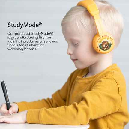 BuddyPhones Play+