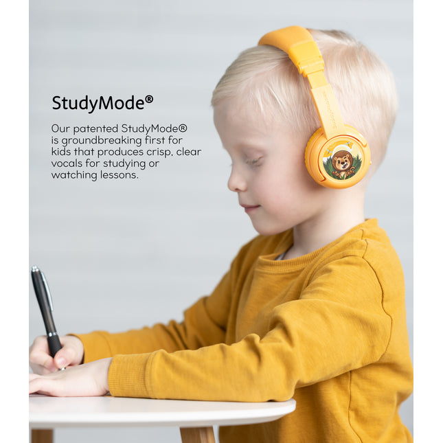 BuddyPhones Play+