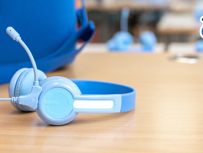 <h3><strong>SafeAudio®</strong></h3>