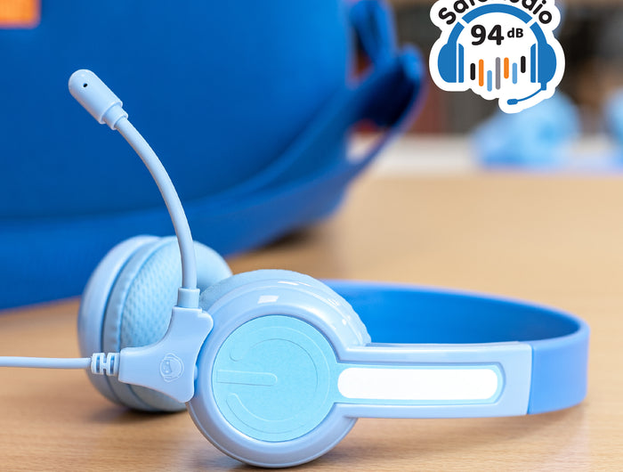 <h3><strong>SafeAudio®</strong></h3>